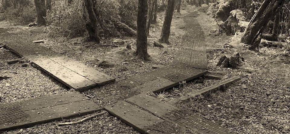 Hiking path in Hawaii