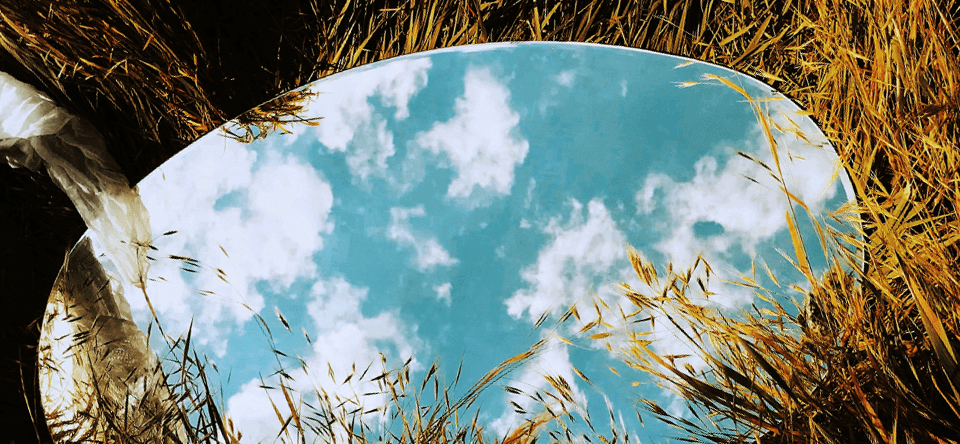 Mirror in the grass
