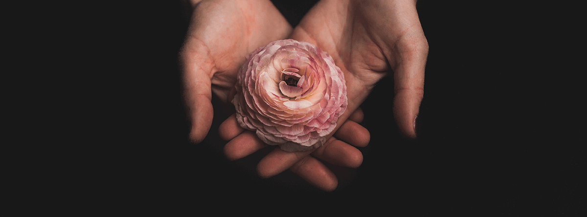 Hands holding flower